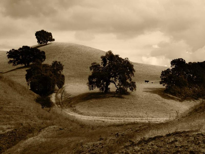 feedback screenshot 6