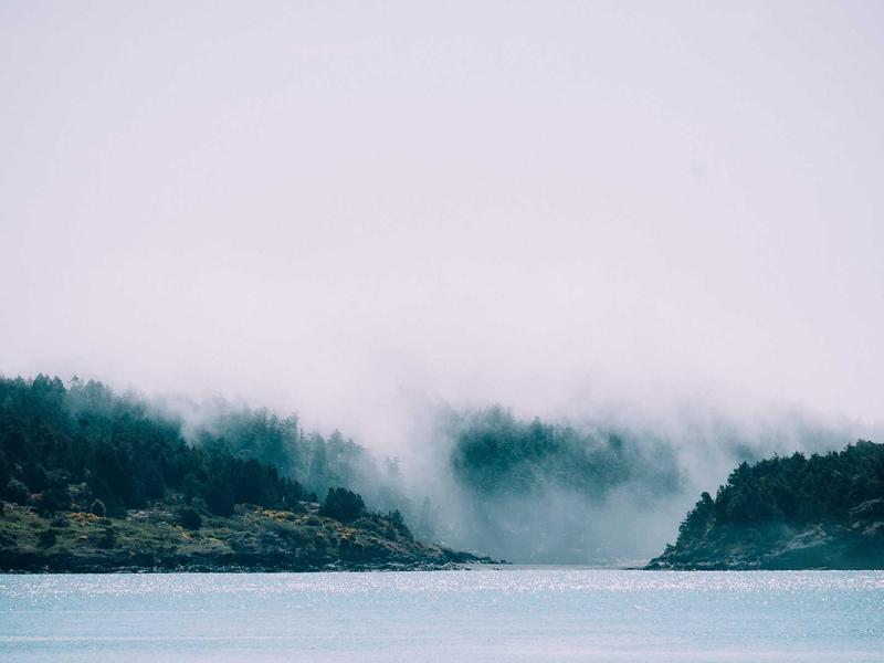 sudoku lifetime access