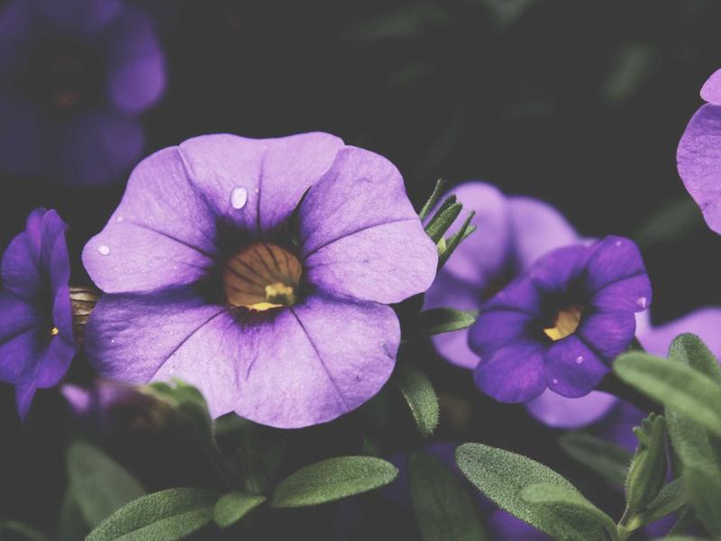 sudoku lifetime access screenshot 2